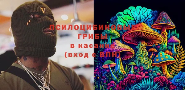ПСИЛОЦИБИНОВЫЕ ГРИБЫ Верхнеуральск