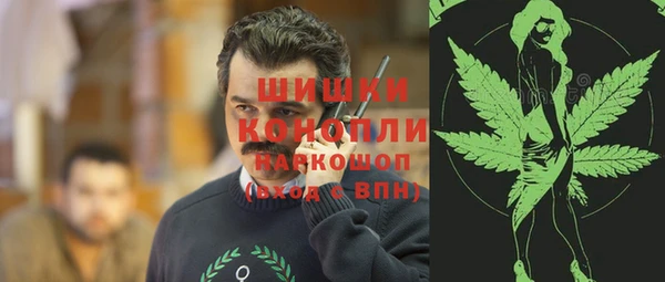 мдпв Волоколамск