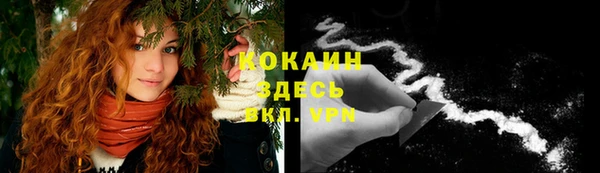 ПСИЛОЦИБИНОВЫЕ ГРИБЫ Верхнеуральск
