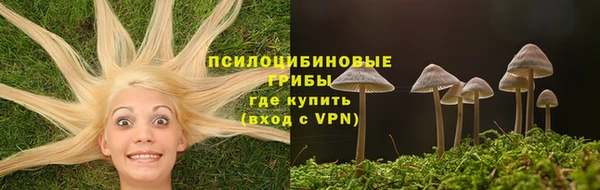 ПСИЛОЦИБИНОВЫЕ ГРИБЫ Верхнеуральск