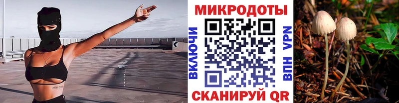 Псилоцибиновые грибы мухоморы  Купить где  Гаджиево 